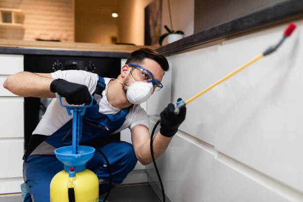  Stlman Valley, IL Pest Control Pros