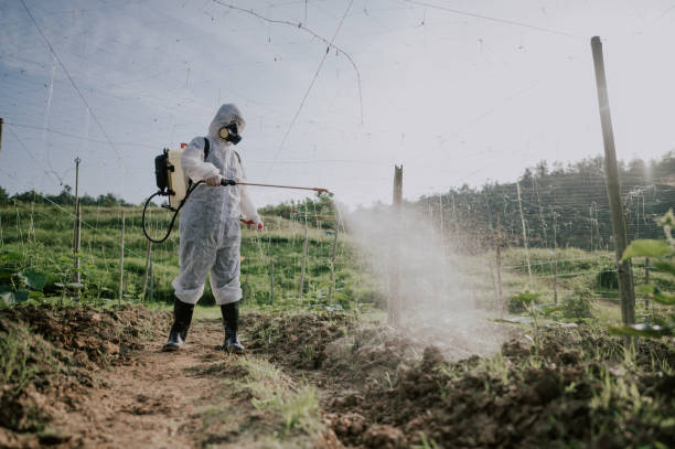 Best Termite Control Services  in Stlman Valley, IL