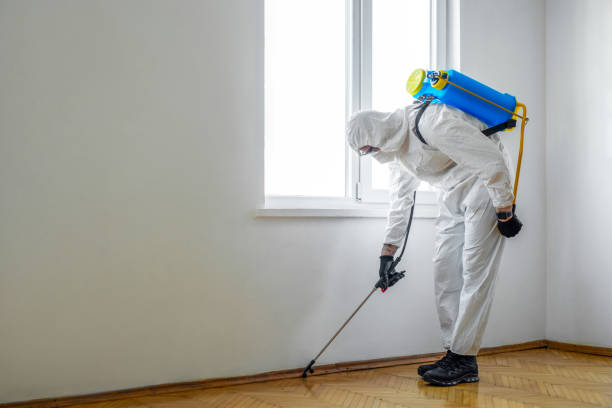 Trusted Stillman Valley, IL Pest Control Experts