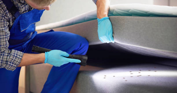 Best Pest Control Near Me  in Stlman Valley, IL