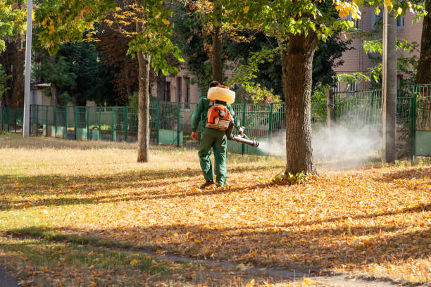 Best Cockroach Control Services  in Stlman Valley, IL